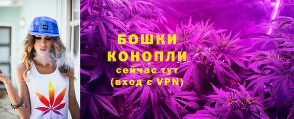 МДПВ Гусиноозёрск